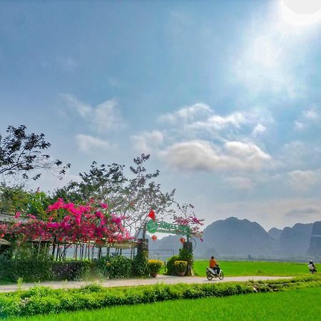 Jungle Boss Travel Lodge Phong Nha Buitenkant foto