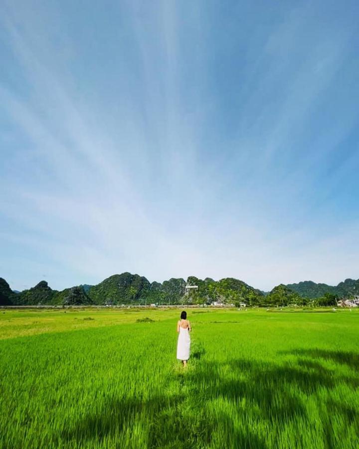 Jungle Boss Travel Lodge Phong Nha Buitenkant foto