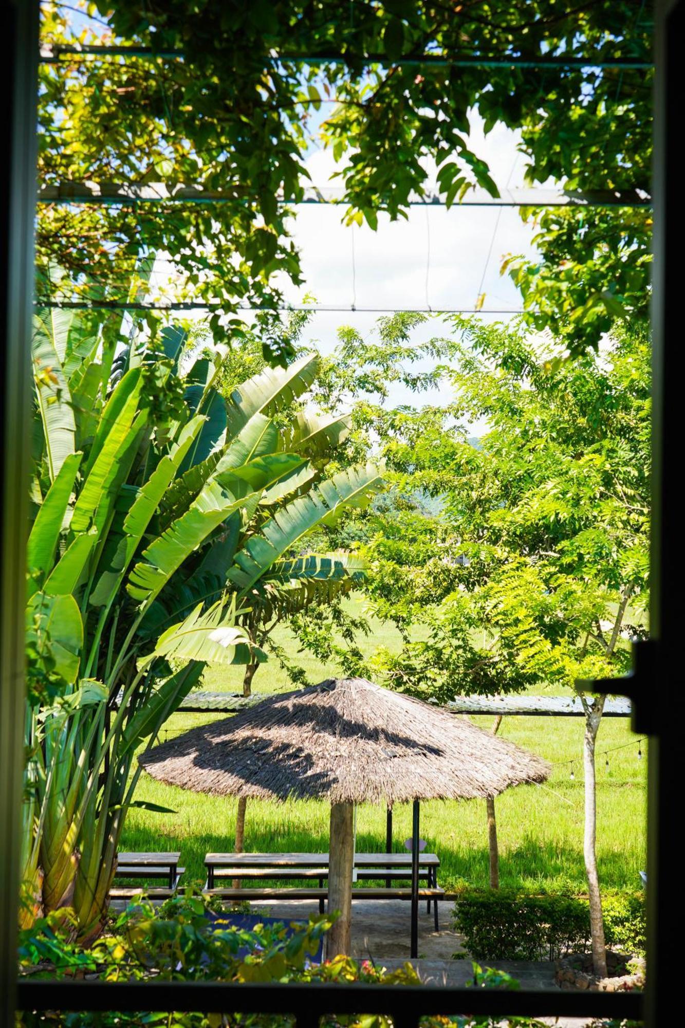 Jungle Boss Travel Lodge Phong Nha Buitenkant foto