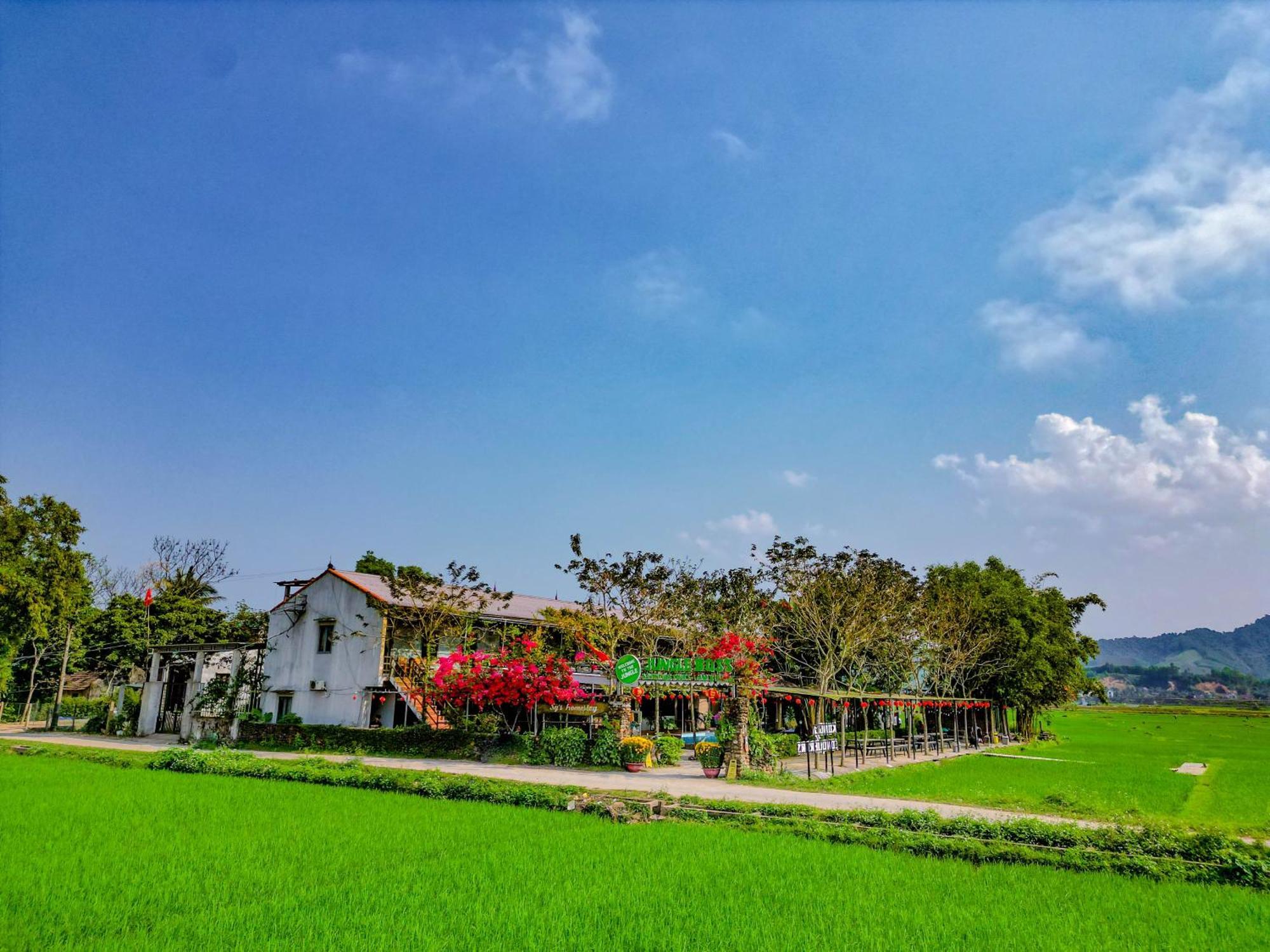 Jungle Boss Travel Lodge Phong Nha Buitenkant foto