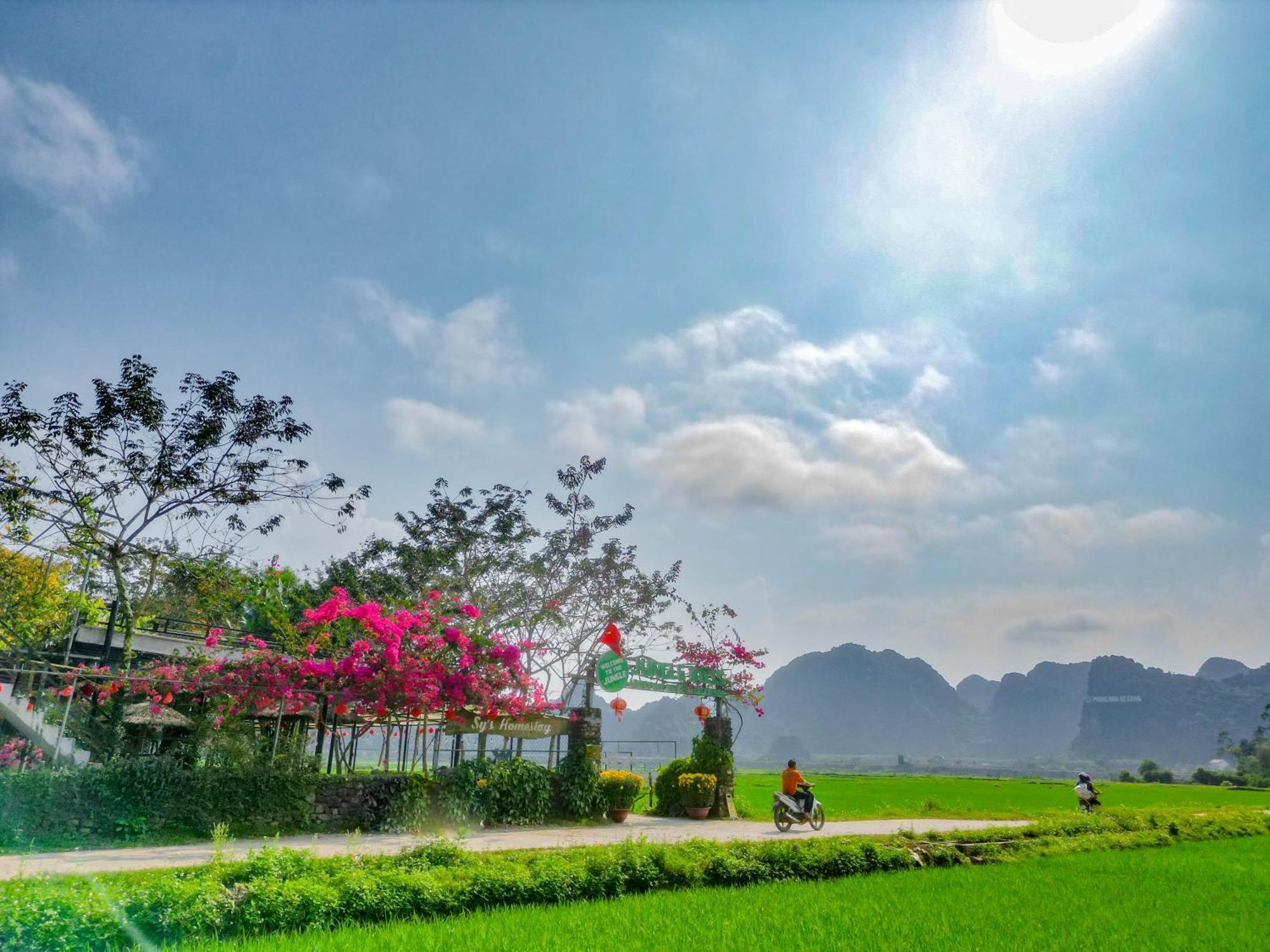 Jungle Boss Travel Lodge Phong Nha Buitenkant foto