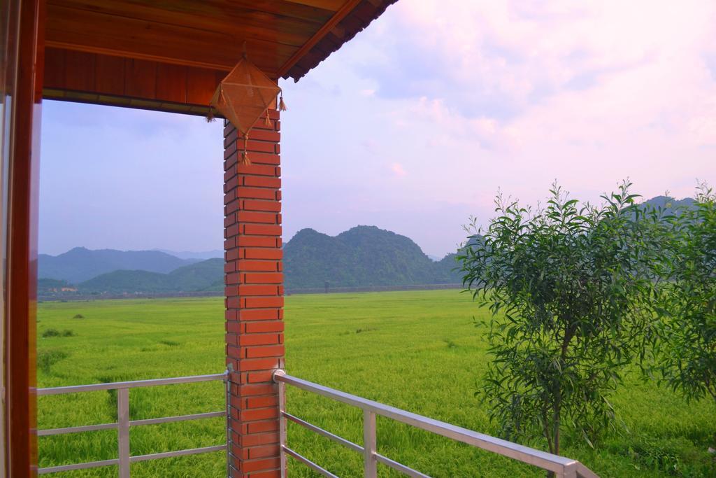 Jungle Boss Travel Lodge Phong Nha Buitenkant foto