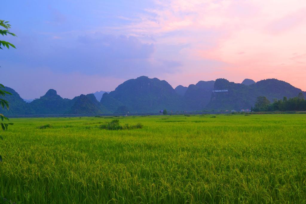 Jungle Boss Travel Lodge Phong Nha Buitenkant foto